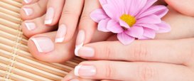 Silk Beauty Exmouth - Female Nail Treatments